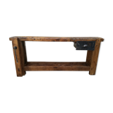 Established in elm and oak