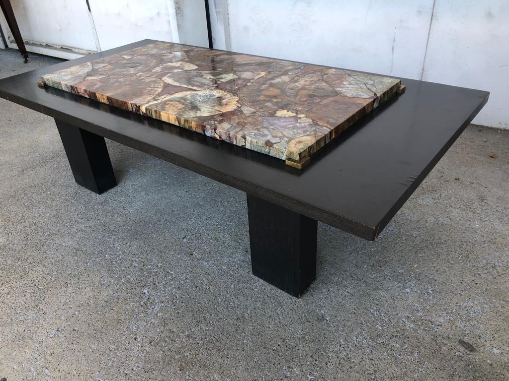 Coffee table with petrified wood top