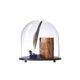 Glass bell with pacific base