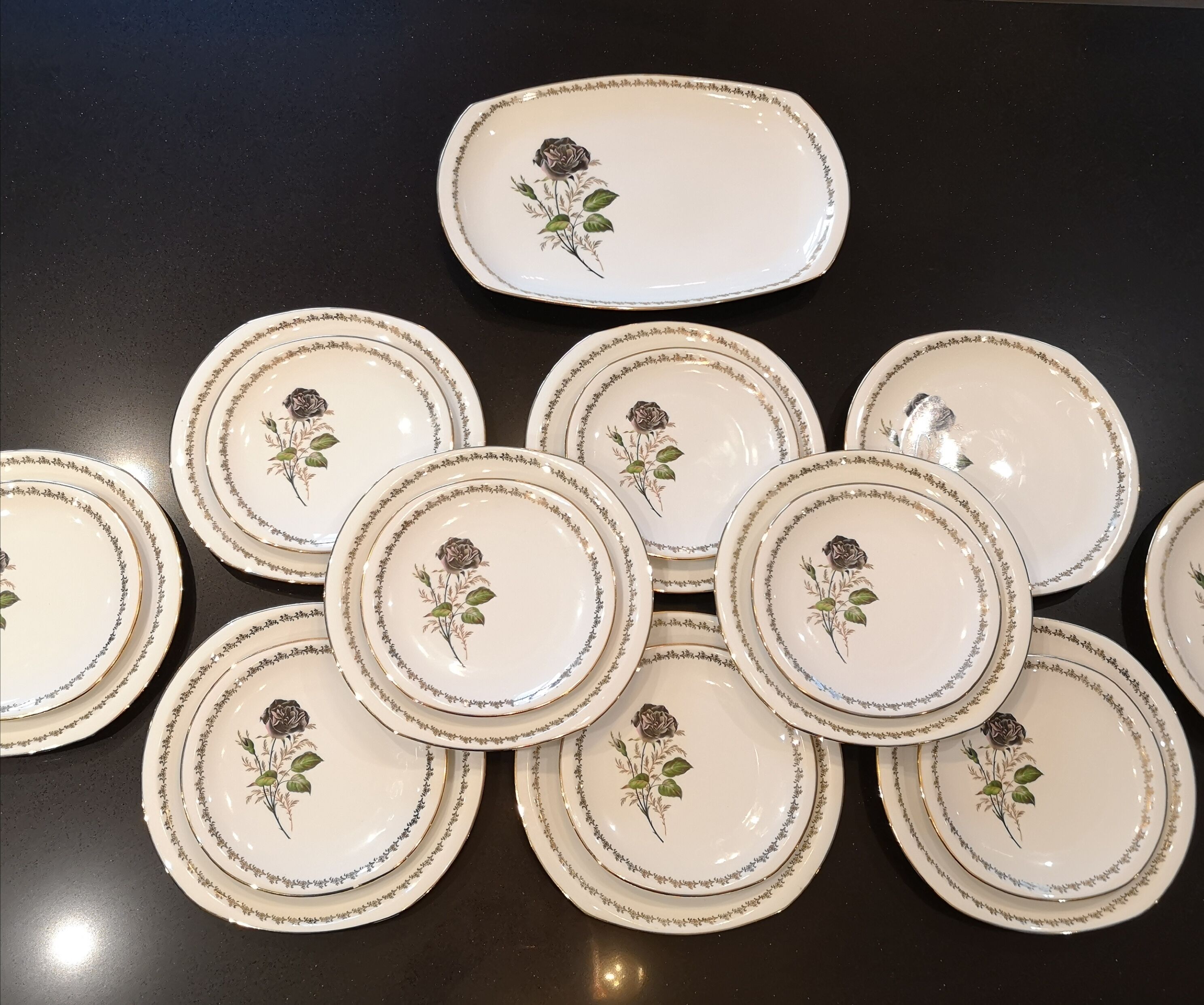 Service 16 porcelain plates from Limoges