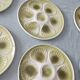 Lot of 8 vintage oyster plates moulin des loups - sage green - fran