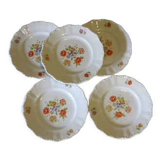 5 assiettes à desserts en porcelaine Germany
