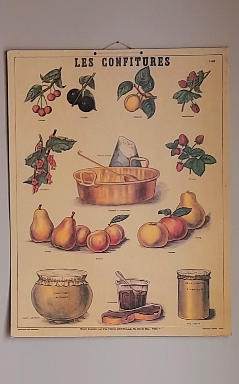 Deyrolles poster 'jams'