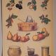 Deyrolles poster 'jams'