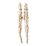 2 ornements et fronton en bronze antique