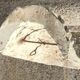 Old plaster face/antique décor