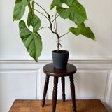 4-legged turned wooden stool