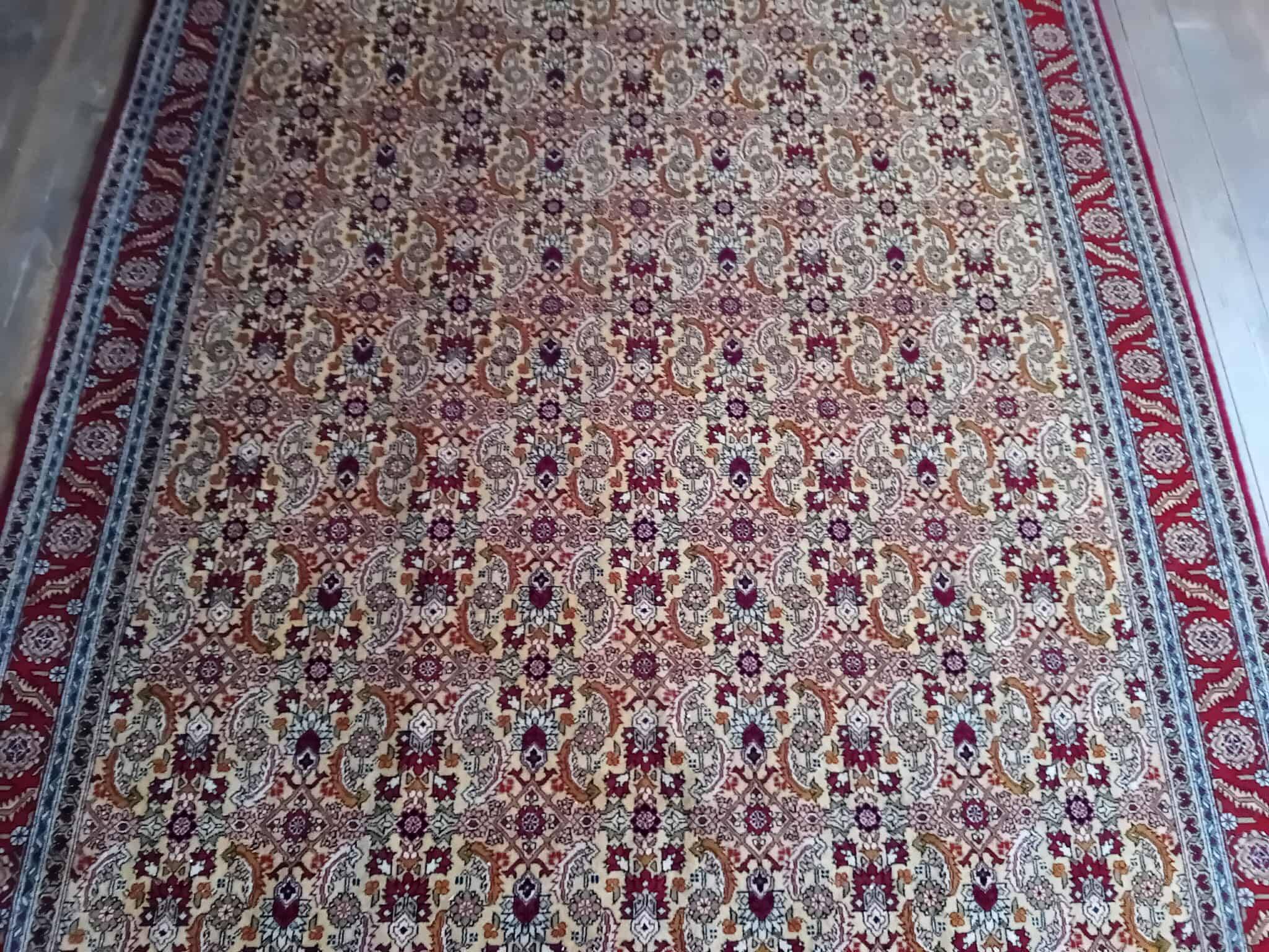 Handmade Shirvan Caucasian Rug 283x200ccm