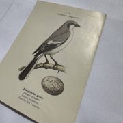 Botanical Plate Engraving of Birds, Naturalist, 19th Century, Double-sided A