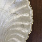 Vide poche coquille en nacre