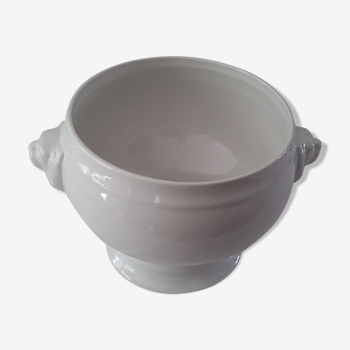 White porcelain soup with lions head