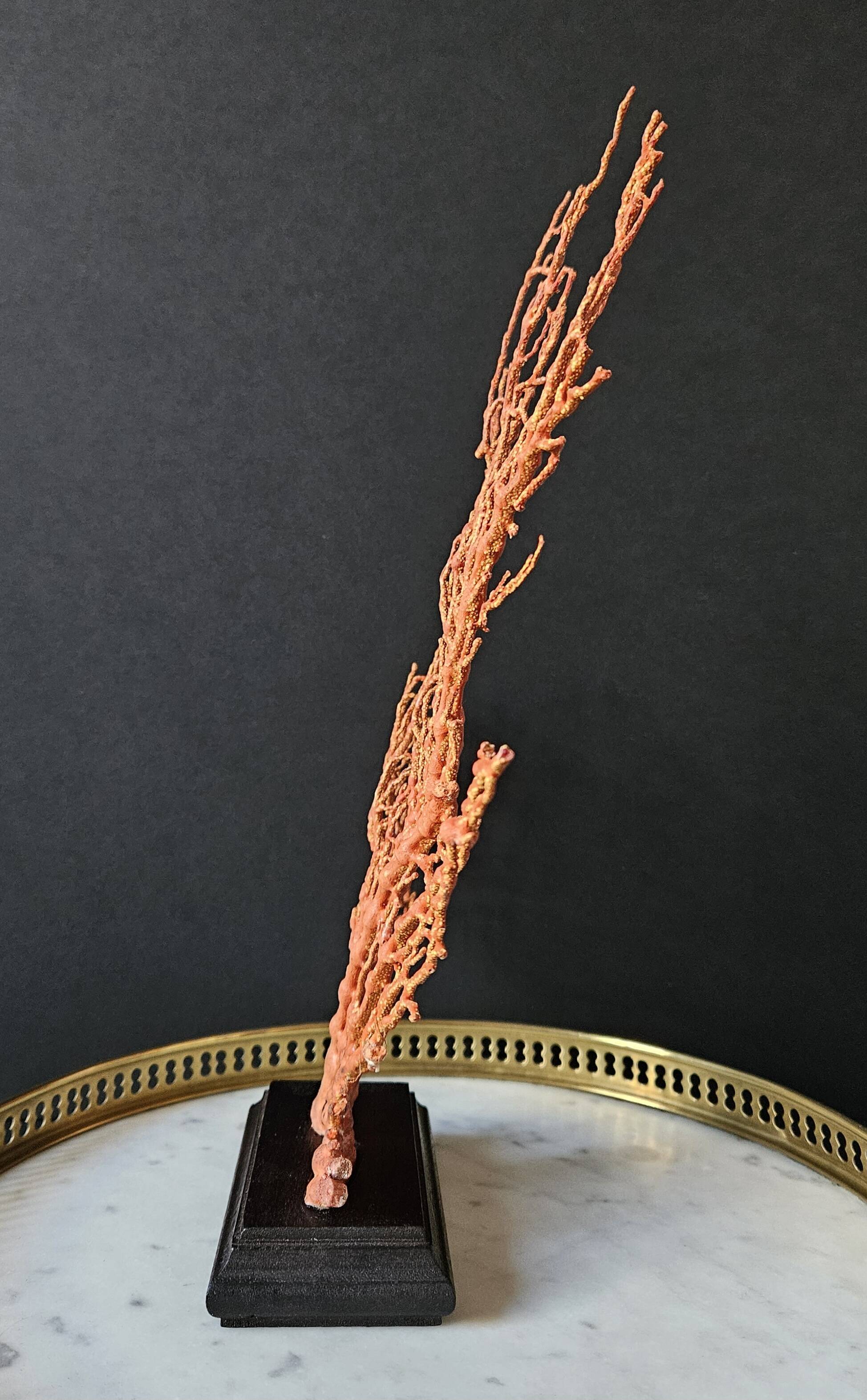 Large Red/Orange Gorgon Stained wooden base. H: 32 cm