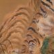 Roaring tiger - Ink - Japan - signed Tessen and dated 1937