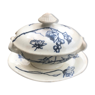 Safe mustard tree sleeping earthenware