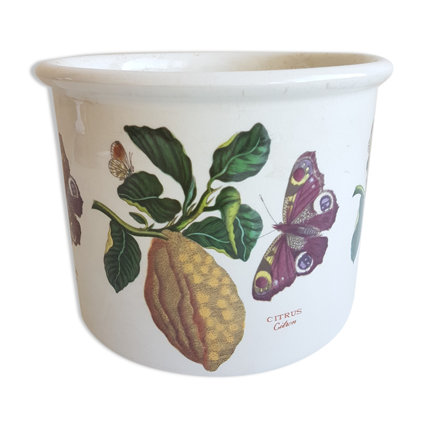Cache pot portmeirion 1970 england