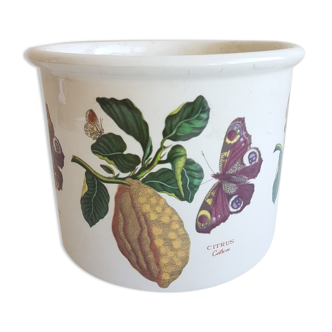 Cache pot portmeirion 1970 england