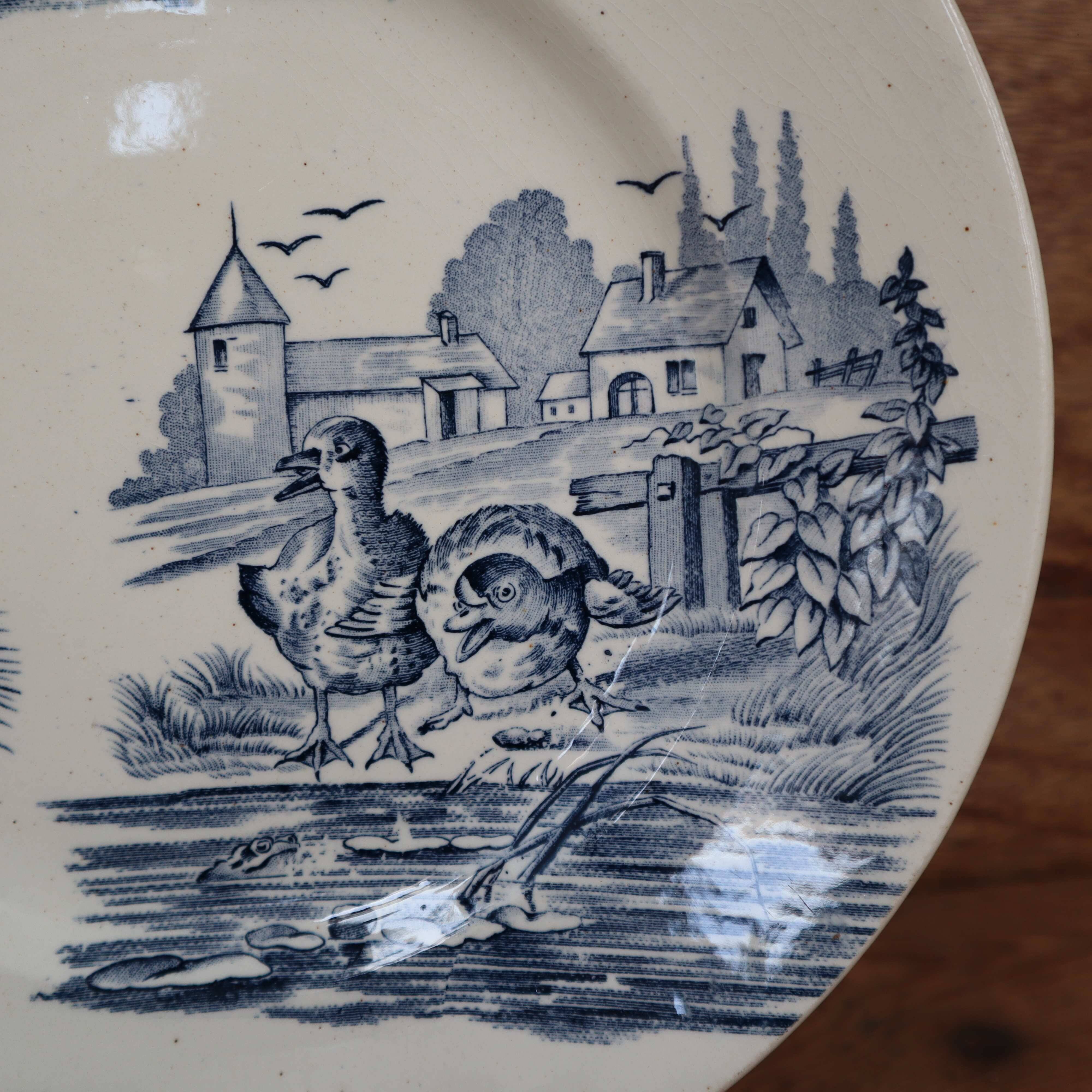 Rustic blue and white ironstone plate, duck and countryside decor