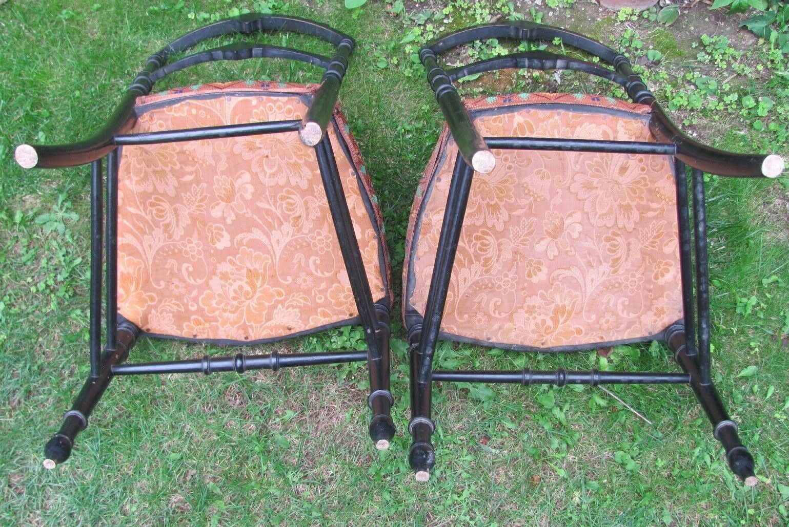 Pair of Napoleon III chairs - parrot decoration