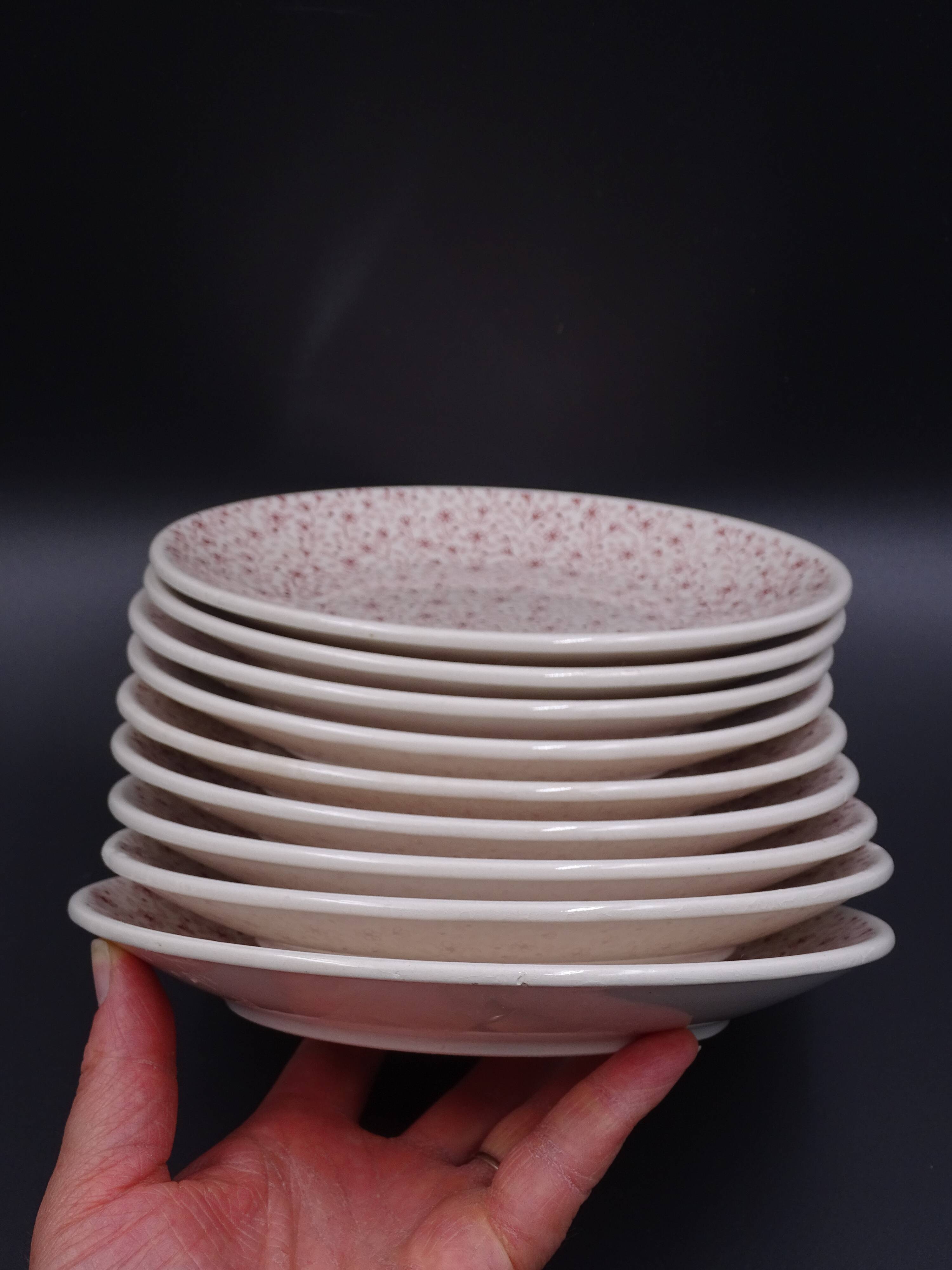 Set of 9 dessert plates in earthenware of Sarreguemines - Décor of pink flowers - 1970