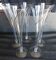 Set of 5 chic flutes with metal trim.