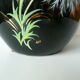 Vallauris vase signed with XXL thistles