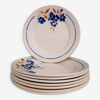 Old mismatched earthenware dinner plates