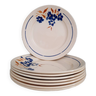 Old mismatched earthenware dinner plates