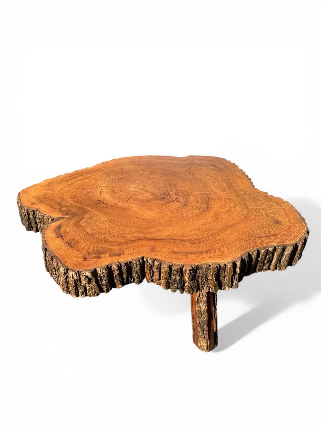 Large brutalist coffee table made from a single piece of cedar trunk, 1960.