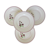4 flat plates from Salins