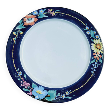 Xenia plate