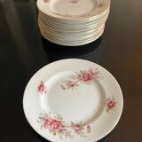 Large service 24 pieces iron earth