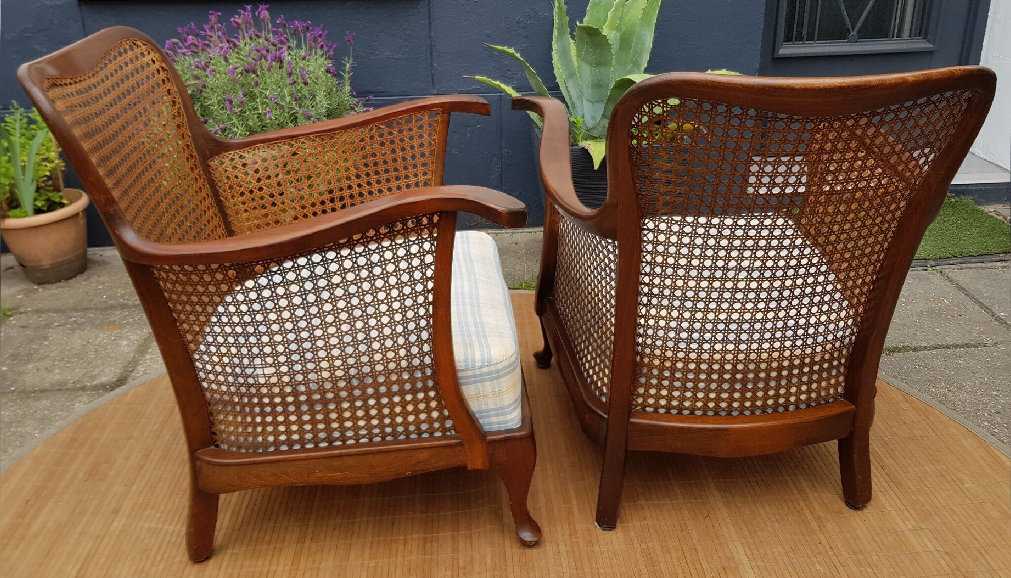 English canine armchair