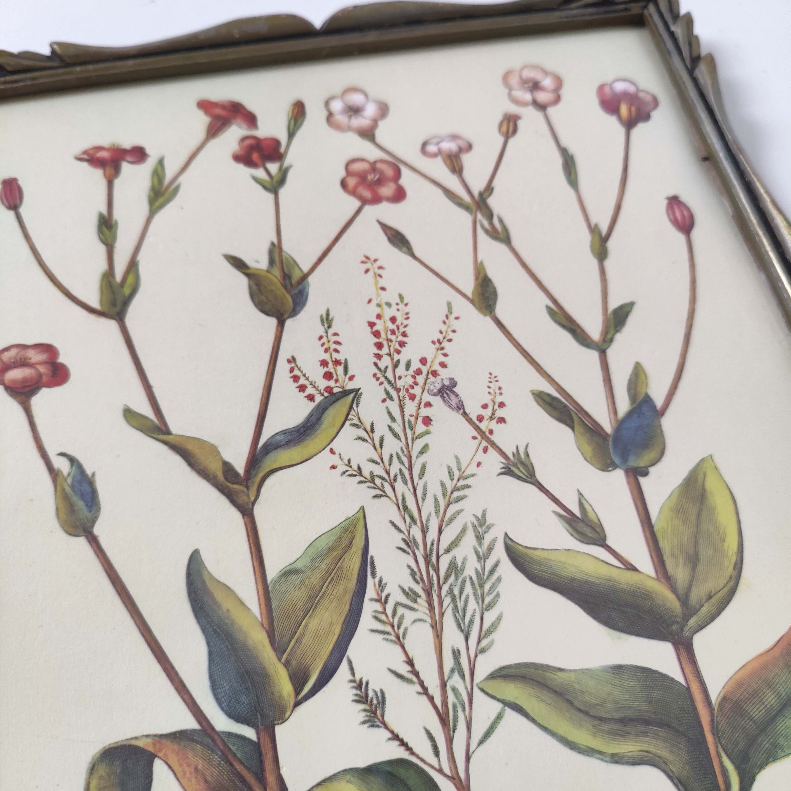 Botanical board wildflowers frame wood to pose