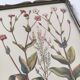 Botanical board wildflowers frame wood to pose