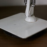 Fase articulated lamp