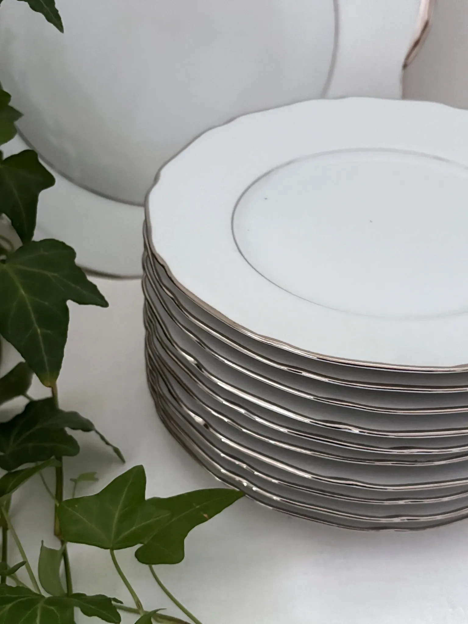 10 white porcelain dessert plates