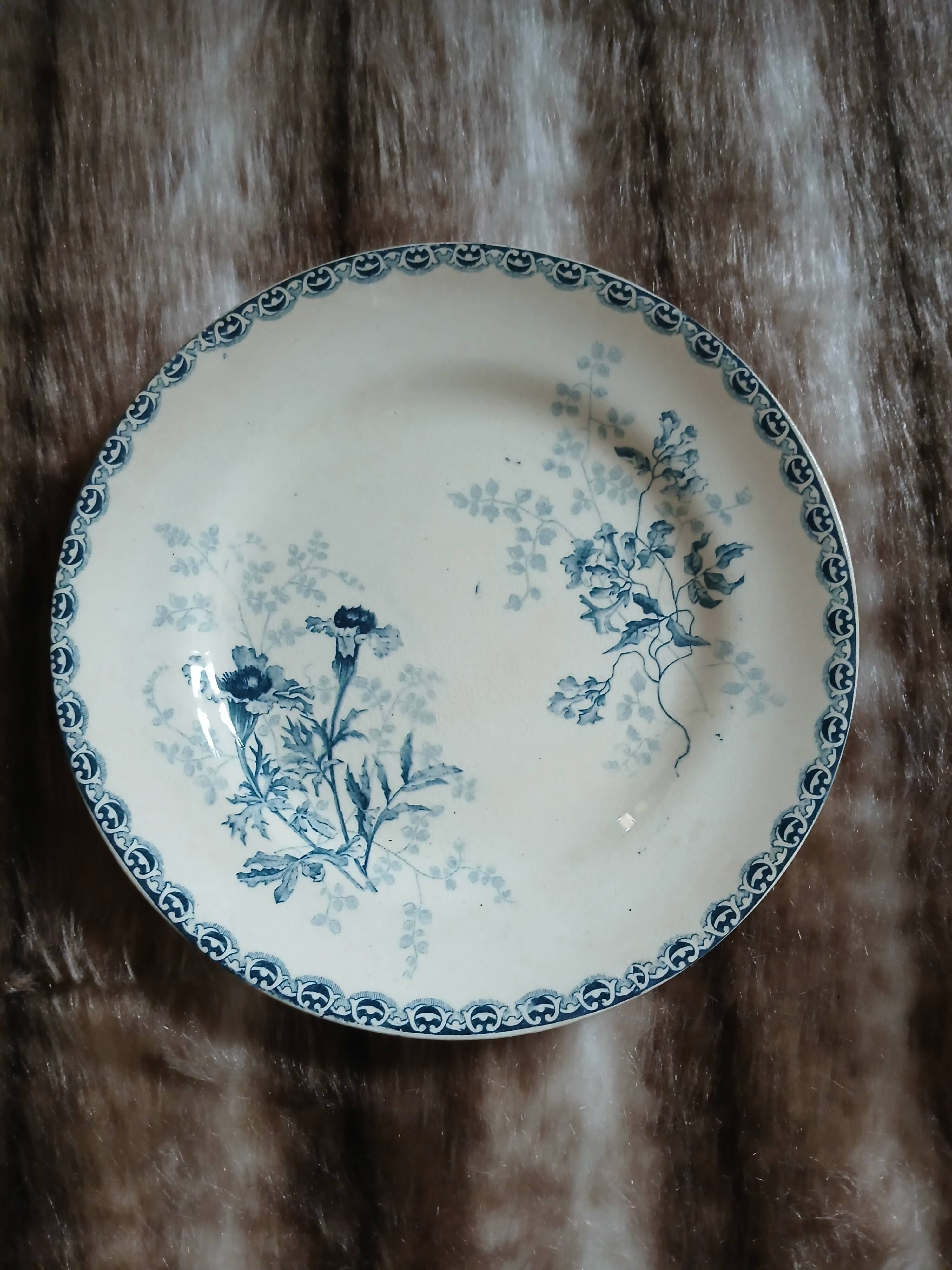 10 antique flat plates in ironstone