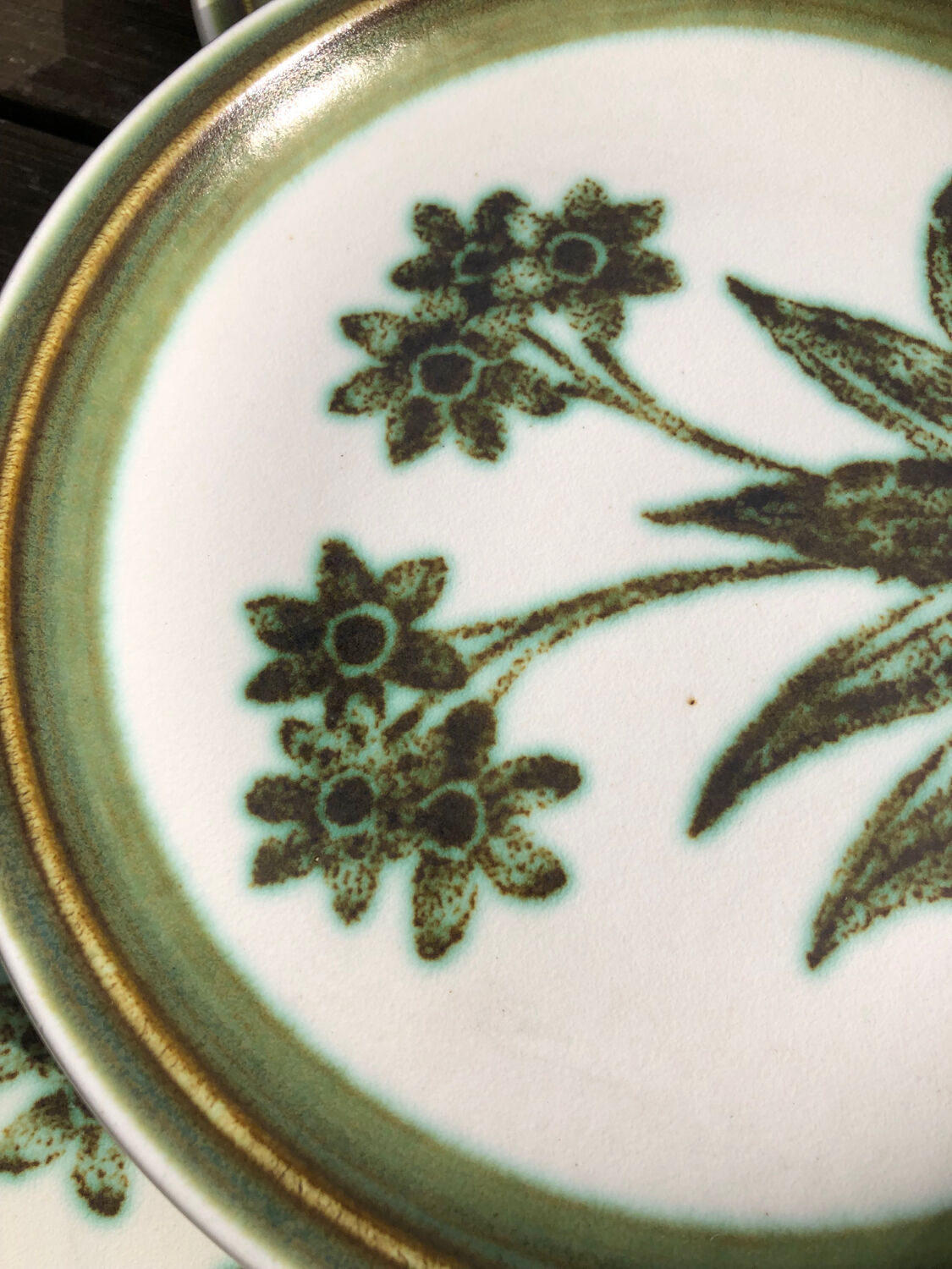 Gien enamelled sandstone dessert plates "Herbier"
