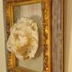 Antique gilded frame with stone lion head ornament on plexiglass