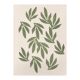 Painting on paper, foliage illustration, painting b205 signed Eawy