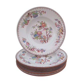 6 assiettes creuses Sarreguemines décor Minton