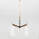 Stilnovo chandelier with 3 glass shades, Italy 1960