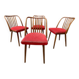 Antonín Šuman – ensemble de chaises des années 1960, Tchécoslovaquie