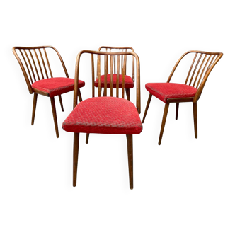 Antonín Šuman – ensemble de chaises des années 1960, Tchécoslovaquie