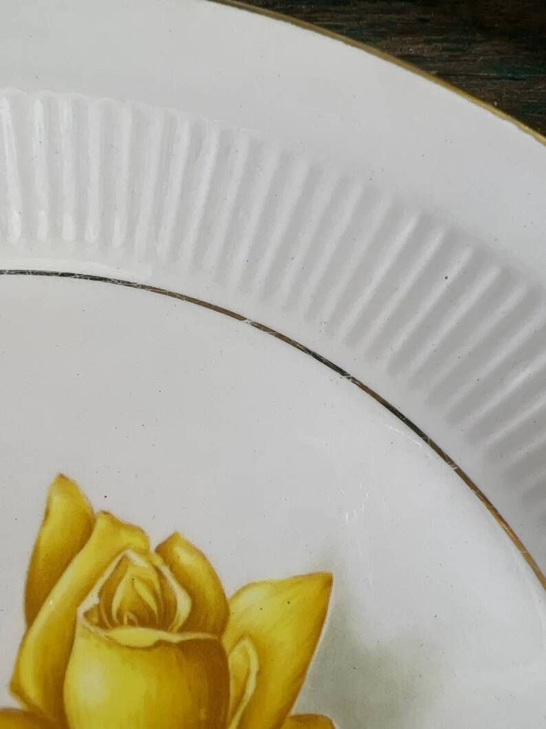 6 assiettes plates blanches rose jaune Moulin des loups Orchies