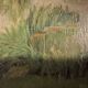 Antique painting, landscape with pond, signed and dated 1895