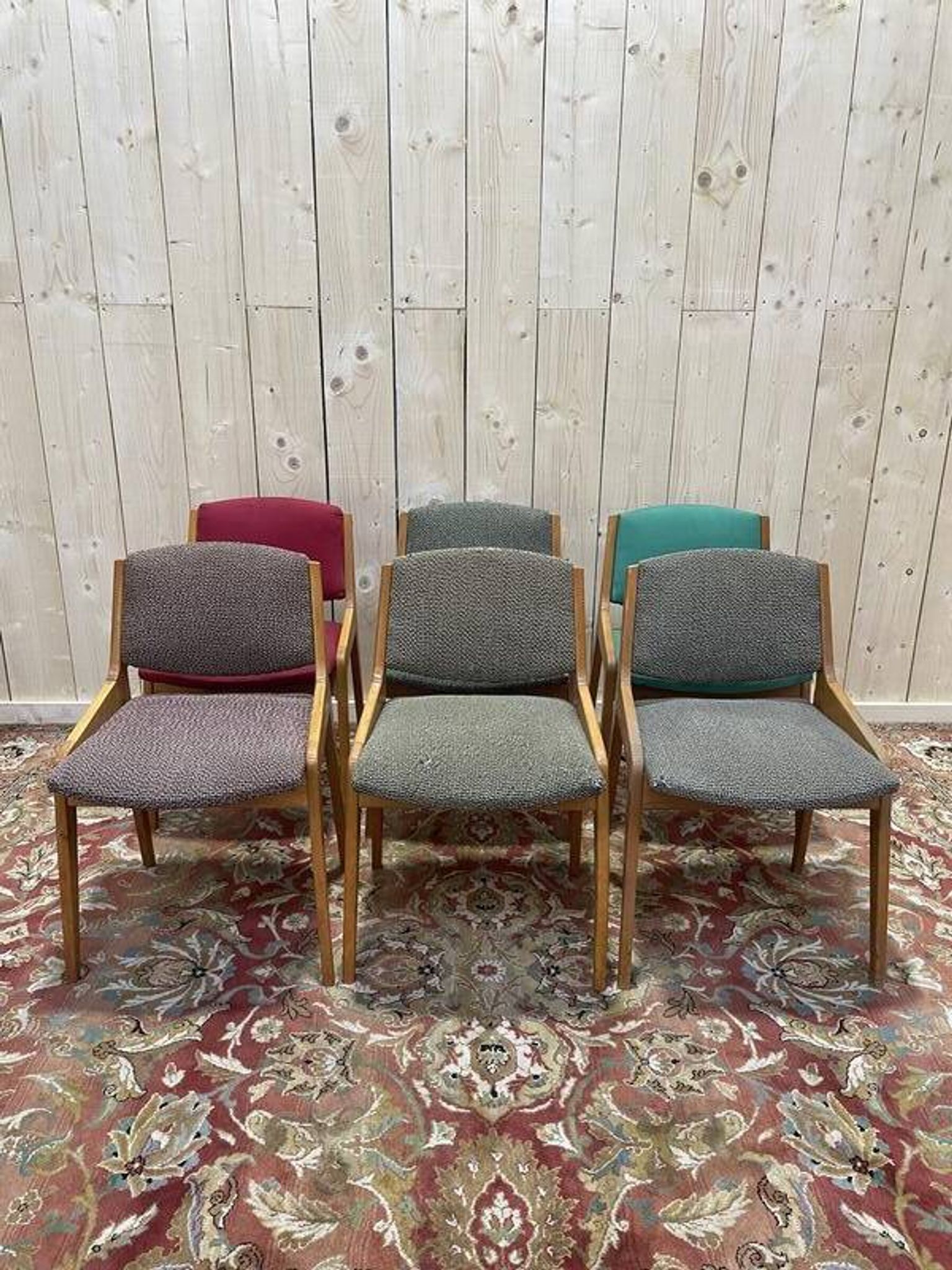 Suite de 6 chaises 1950 en hêtre massif