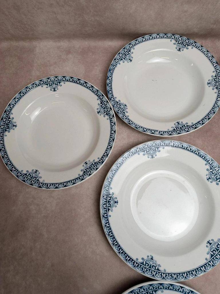 Set of 9 deep plates Terre de Fer St Amand model Andrinople