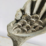 Old wooden wing on pedestal