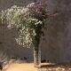 Vintage vase